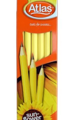 PENCIL HB SUNFLOWER YELLOW 12 TRANQ